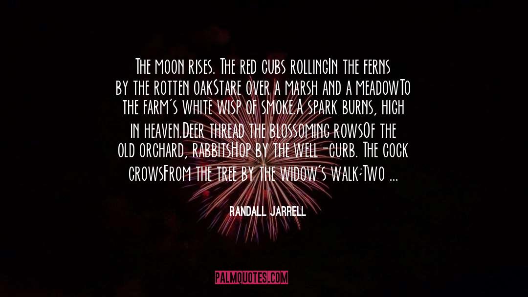 Randall Jarrell Quotes: The moon rises. The red