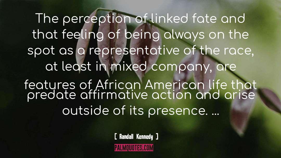 Randall Kennedy Quotes: The perception of linked fate