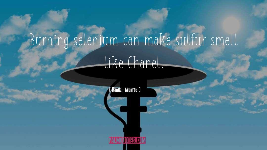 Randall Munroe Quotes: Burning selenium can make sulfur