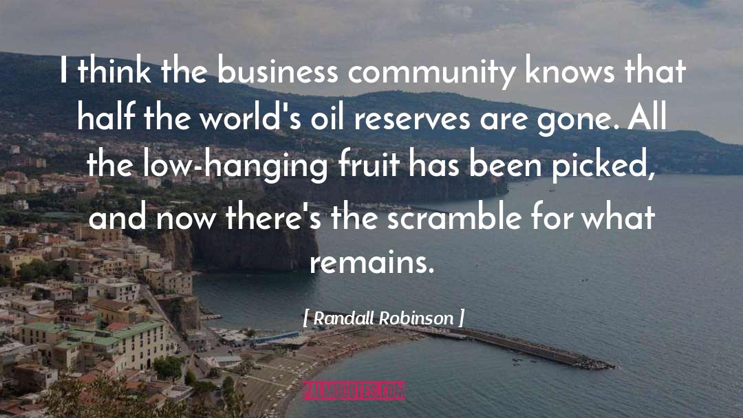 Randall Robinson Quotes: I think the business community