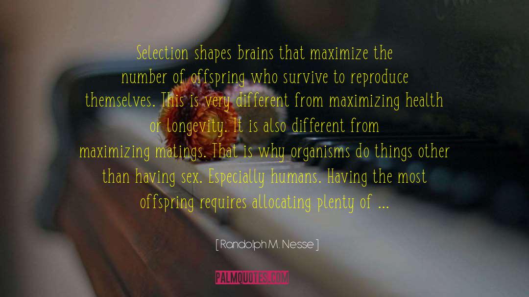Randolph M. Nesse Quotes: Selection shapes brains that maximize
