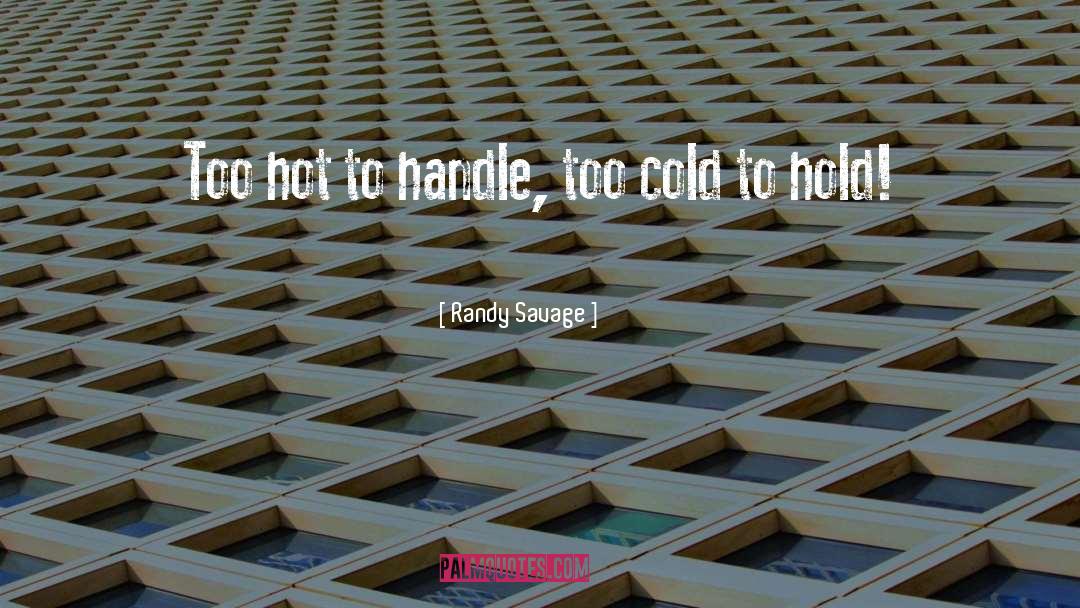 Randy Savage Quotes: Too hot to handle, too