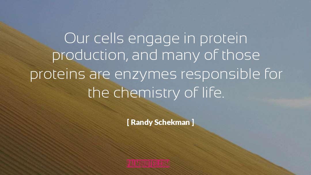 Randy Schekman Quotes: Our cells engage in protein