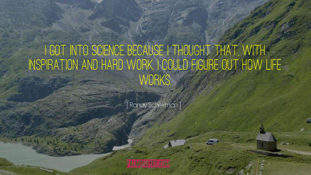 Randy Schekman Quotes: I got into science because