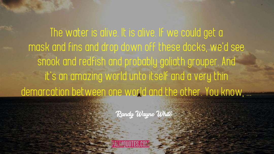Randy Wayne White Quotes: The water is alive. It