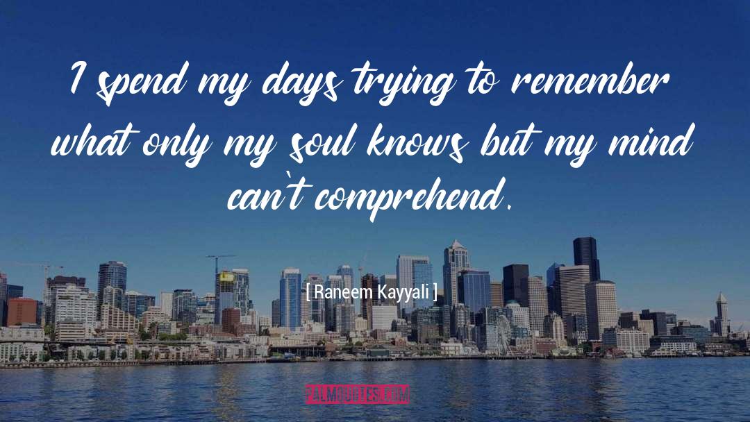 Raneem Kayyali Quotes: I spend my days trying