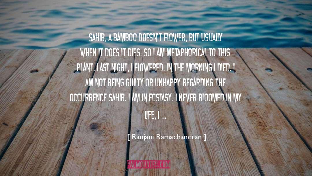 Ranjani Ramachandran Quotes: Sahib, a bamboo doesn't flower,