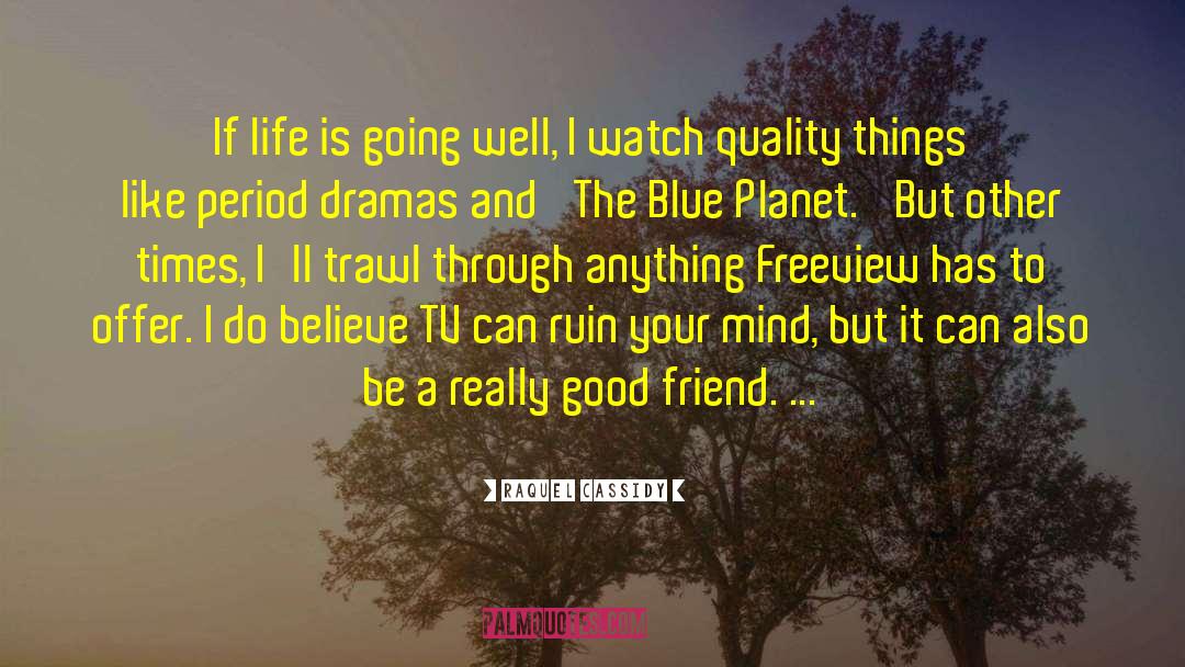 Raquel Cassidy Quotes: If life is going well,