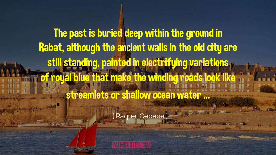 Raquel Cepeda Quotes: The past is buried deep