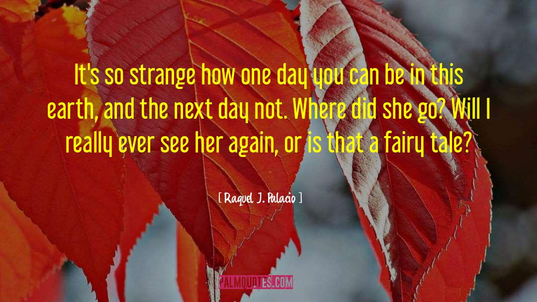 Raquel J. Palacio Quotes: It's so strange how one