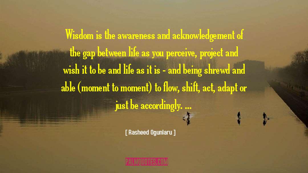 Rasheed Ogunlaru Quotes: Wisdom is the awareness and