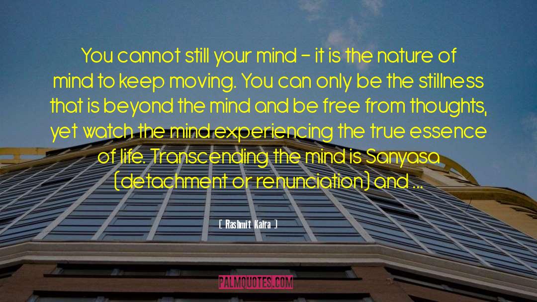 Rashmit Kalra Quotes: You cannot still your mind
