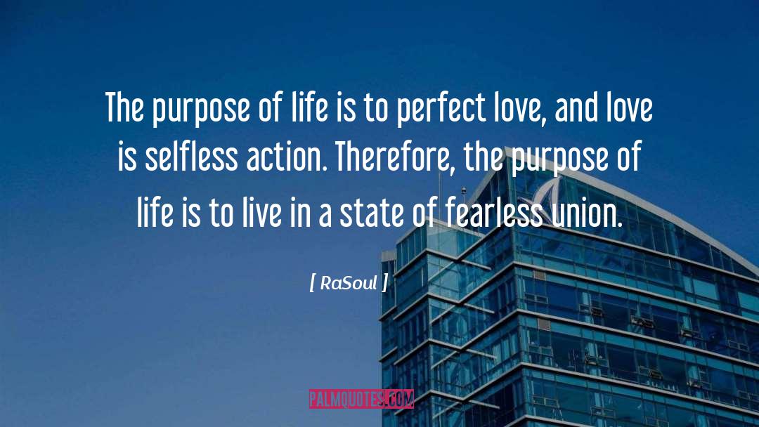 RaSoul Quotes: The purpose of life is