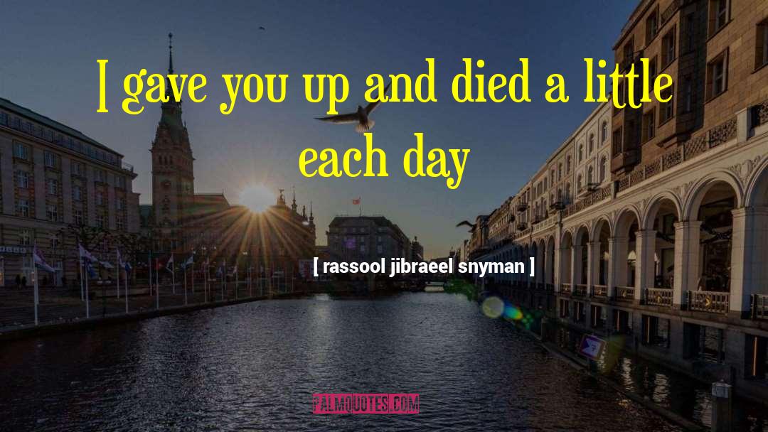 Rassool Jibraeel Snyman Quotes: I gave you up and
