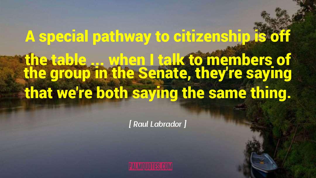 Raul Labrador Quotes: A special pathway to citizenship