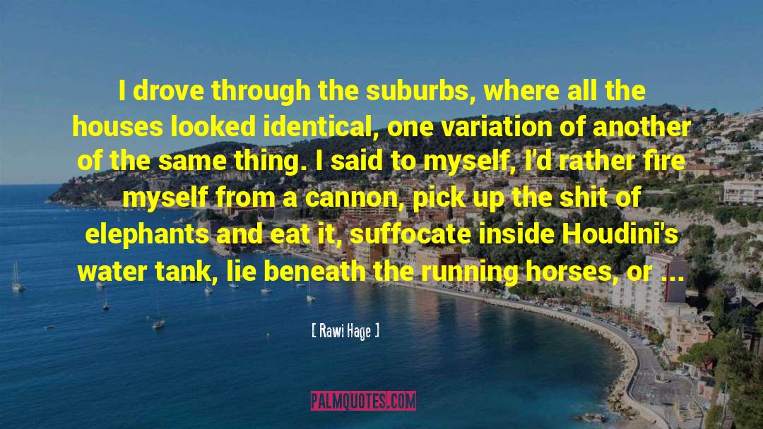 Rawi Hage Quotes: I drove through the suburbs,