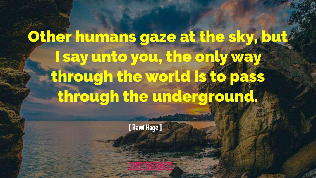 Rawi Hage Quotes: Other humans gaze at the