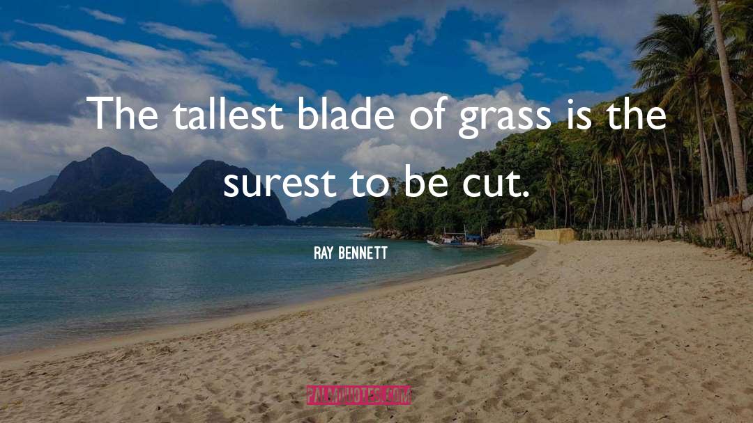 Ray Bennett Quotes: The tallest blade of grass