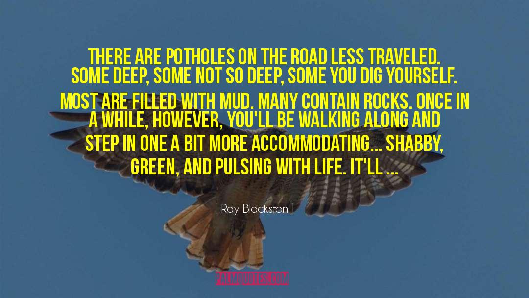 Ray Blackston Quotes: There are potholes on the
