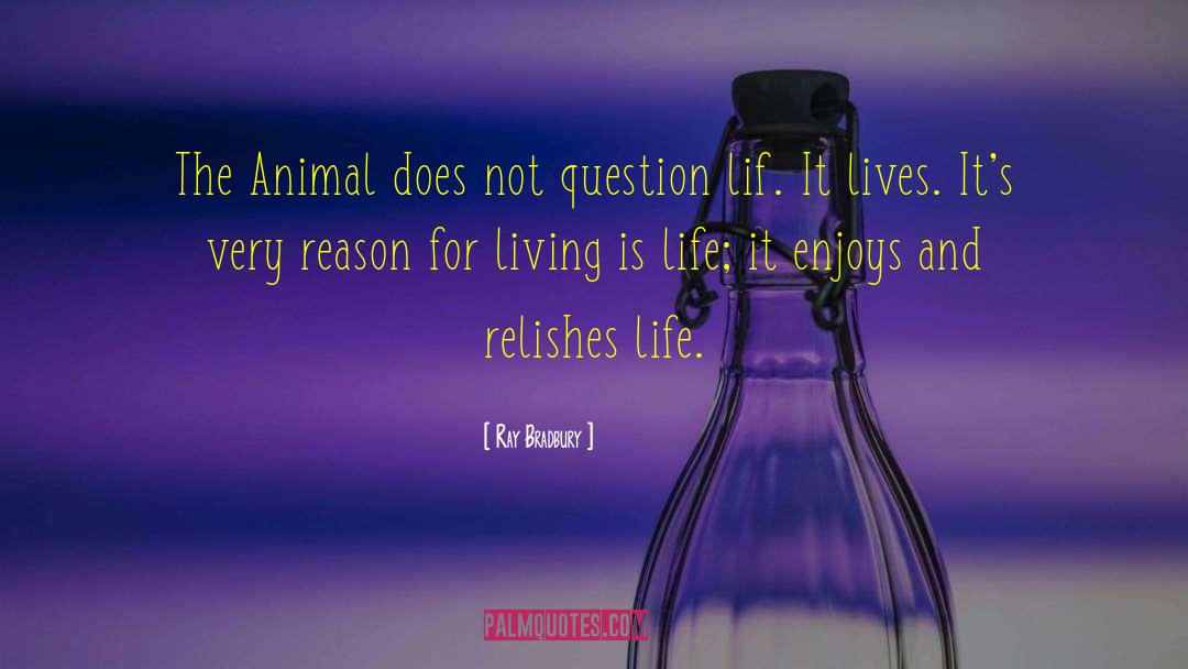 Ray Bradbury Quotes: The Animal does not question