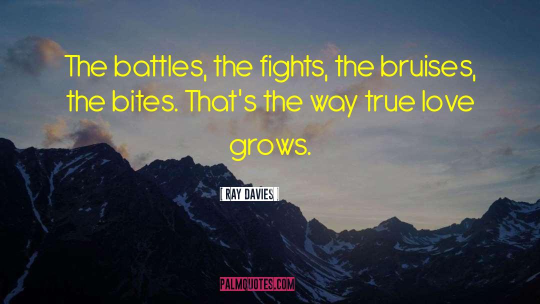 Ray Davies Quotes: The battles, the fights, the