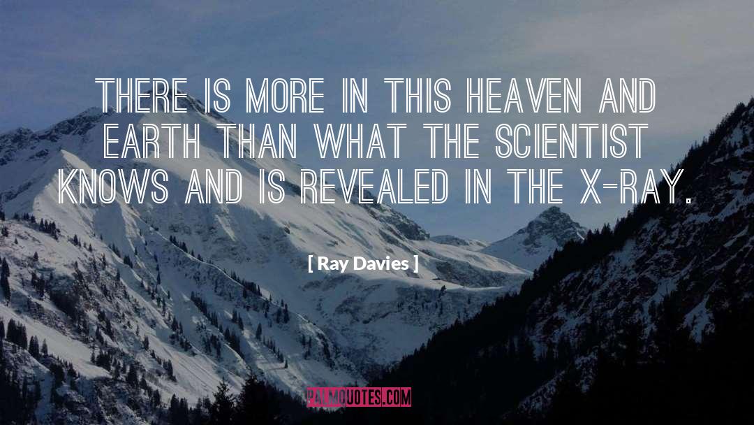 Ray Davies Quotes: There is more in this