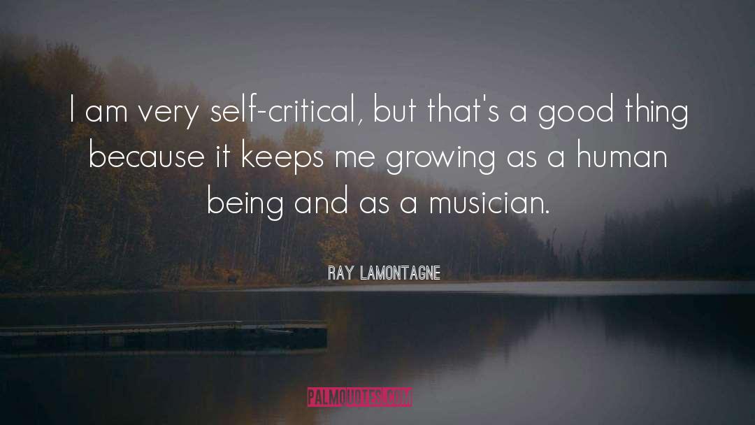 Ray Lamontagne Quotes: I am very self-critical, but