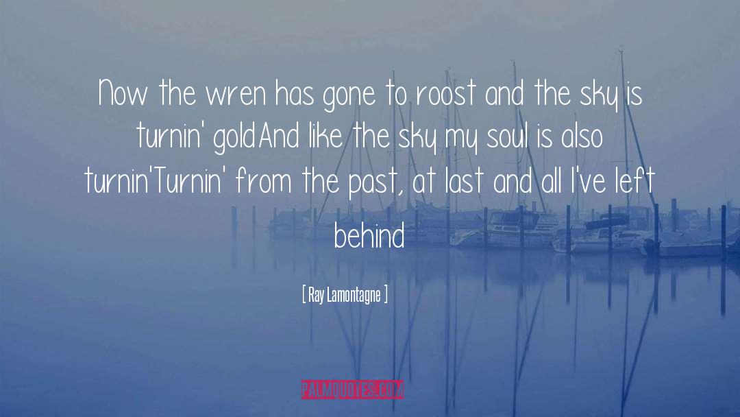 Ray Lamontagne Quotes: Now the wren has gone