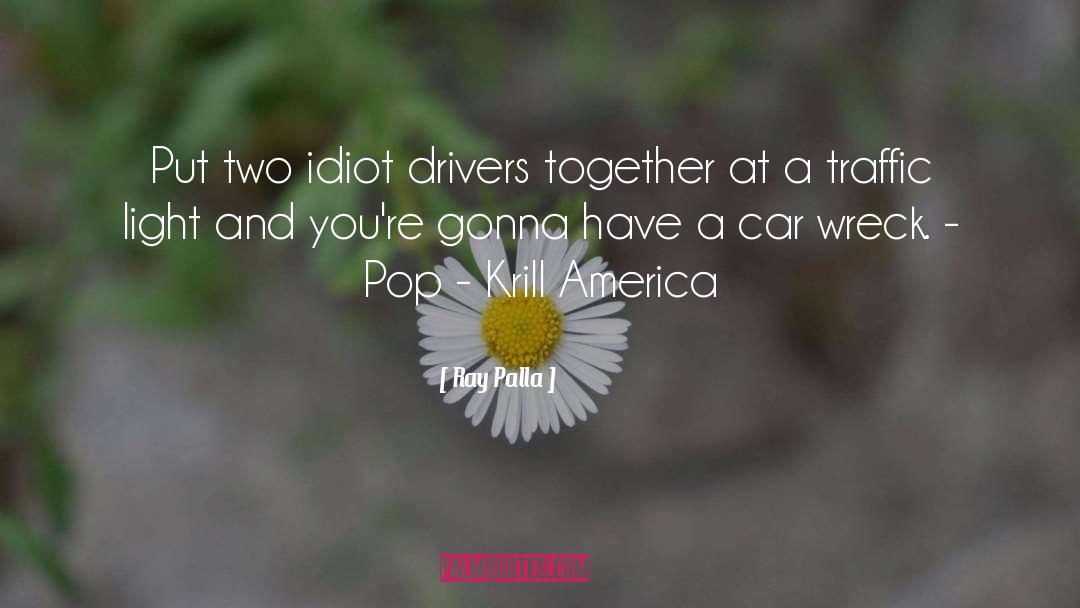 Ray Palla Quotes: Put two idiot drivers together