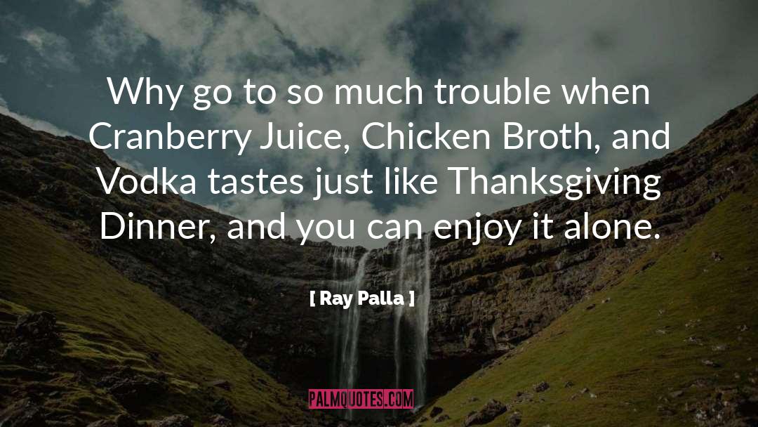 Ray Palla Quotes: Why go to so much