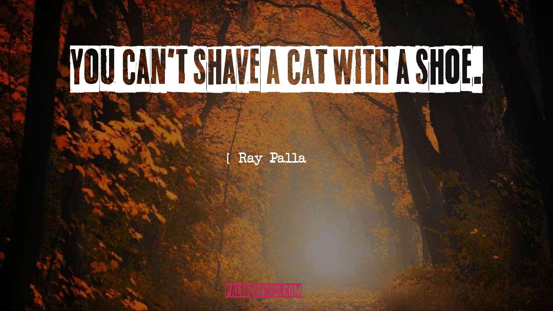 Ray Palla Quotes: You can't shave a cat