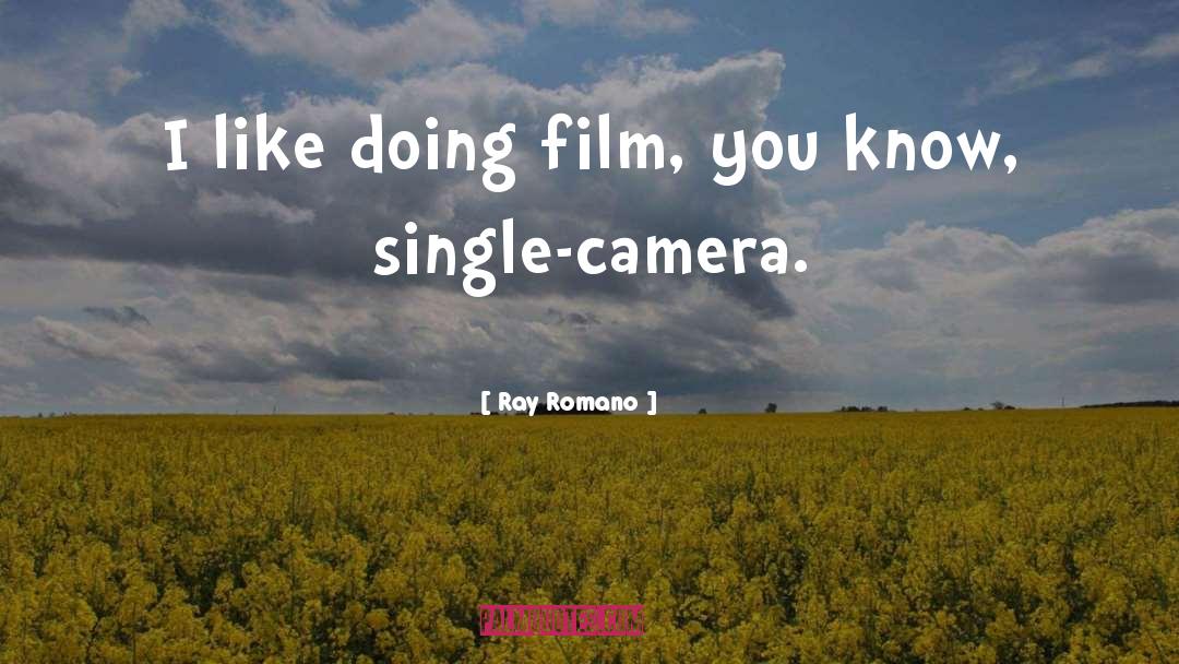 Ray Romano Quotes: I like doing film, you