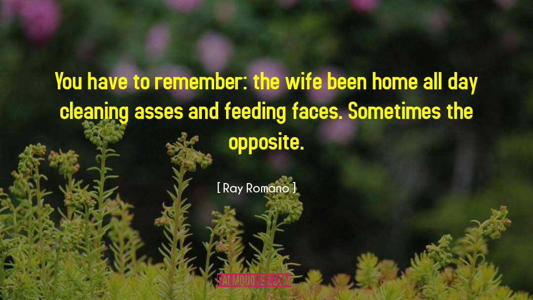 Ray Romano Quotes: You have to remember: the