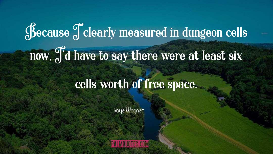 Raye Wagner Quotes: Because I clearly measured in