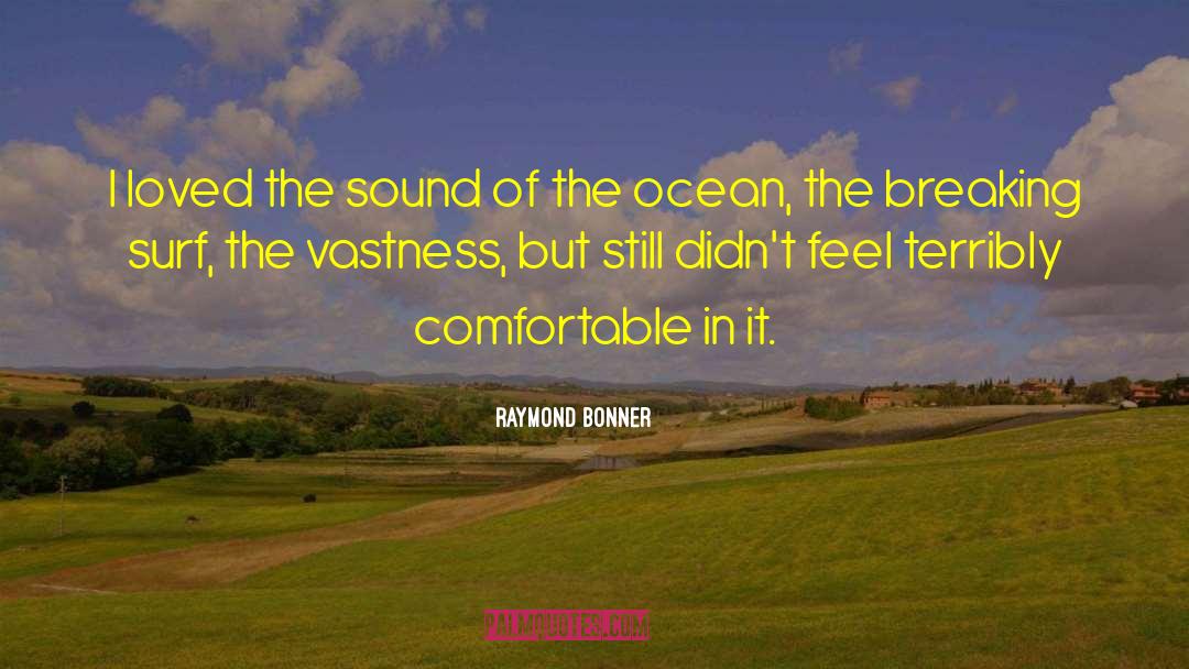 Raymond Bonner Quotes: I loved the sound of