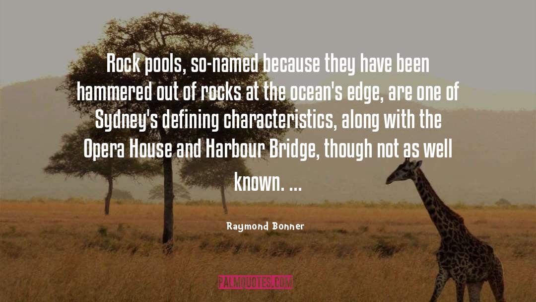 Raymond Bonner Quotes: Rock pools, so-named because they