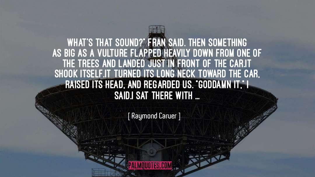 Raymond Carver Quotes: What's that sound?