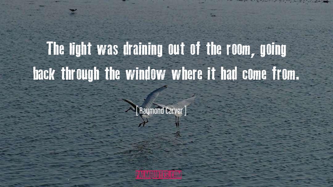 Raymond Carver Quotes: The light was draining out