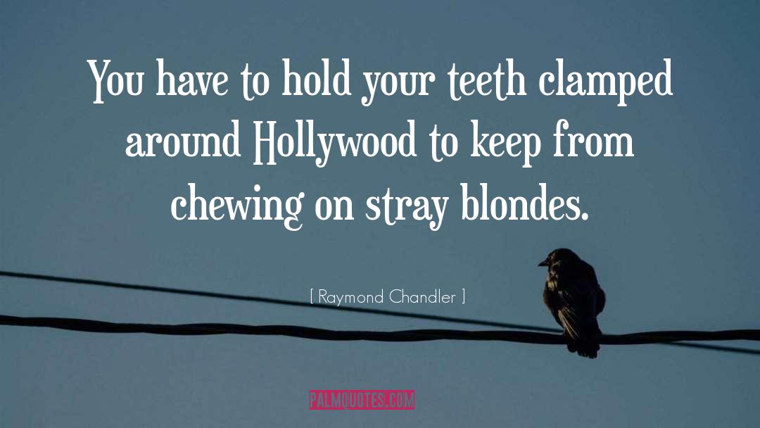 Raymond Chandler Quotes: You have to hold your