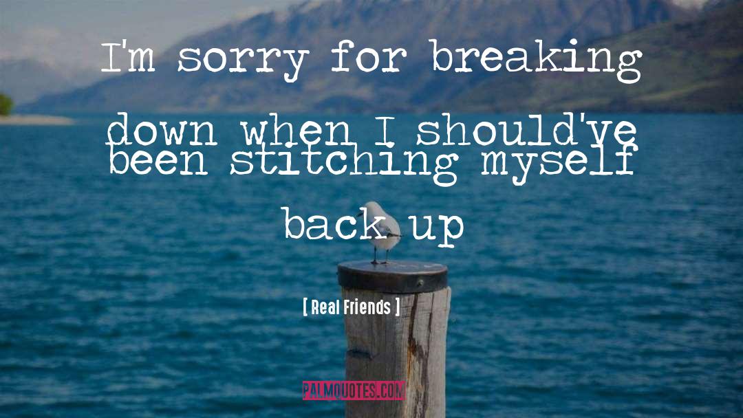 Real Friends Quotes: I'm sorry for breaking down