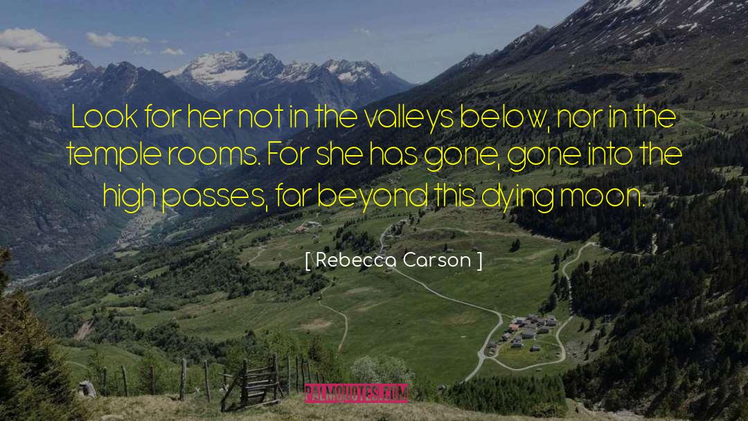 Rebecca Carson Quotes: Look for her not in