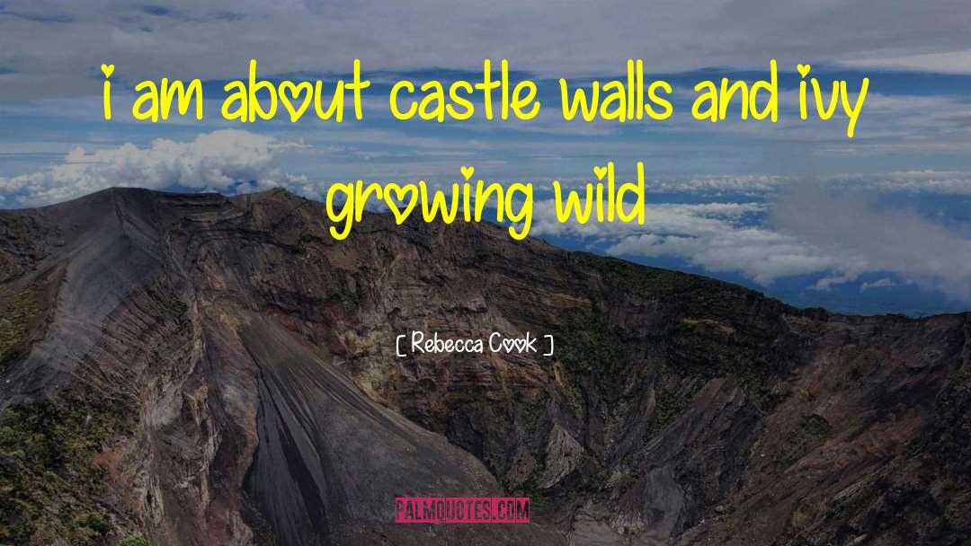 Rebecca Cook Quotes: i am about castle walls