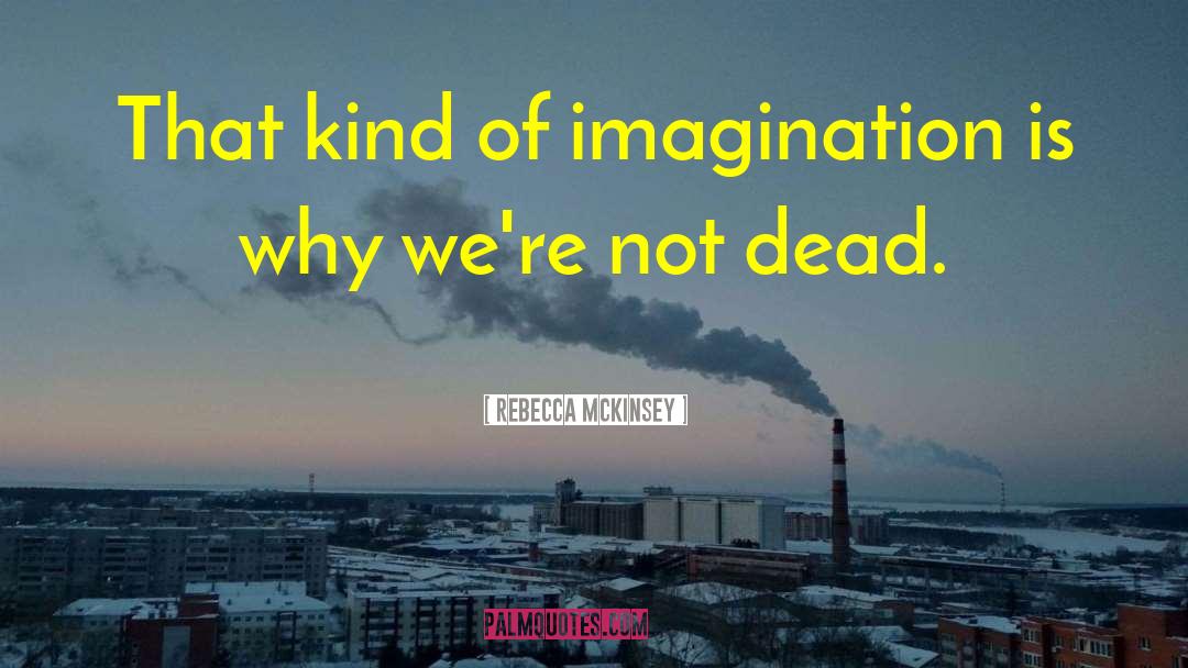 Rebecca McKinsey Quotes: That kind of imagination is