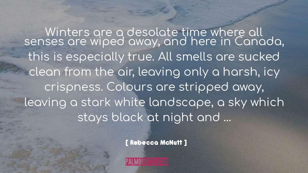 Rebecca McNutt Quotes: Winters are a desolate time