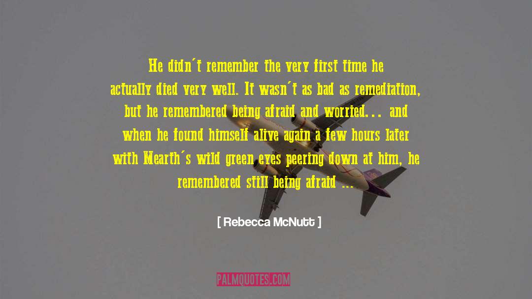 Rebecca McNutt Quotes: He didn't remember the very