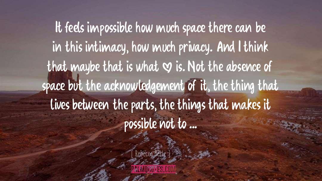 Rebecca Serle Quotes: It feels impossible how much