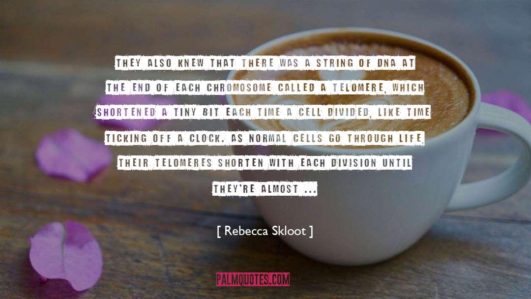 Rebecca Skloot Quotes: They also knew that there