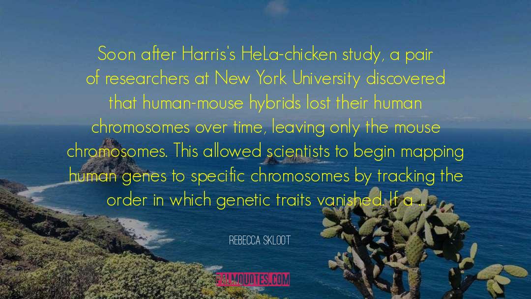 Rebecca Skloot Quotes: Soon after Harris's HeLa-chicken study,