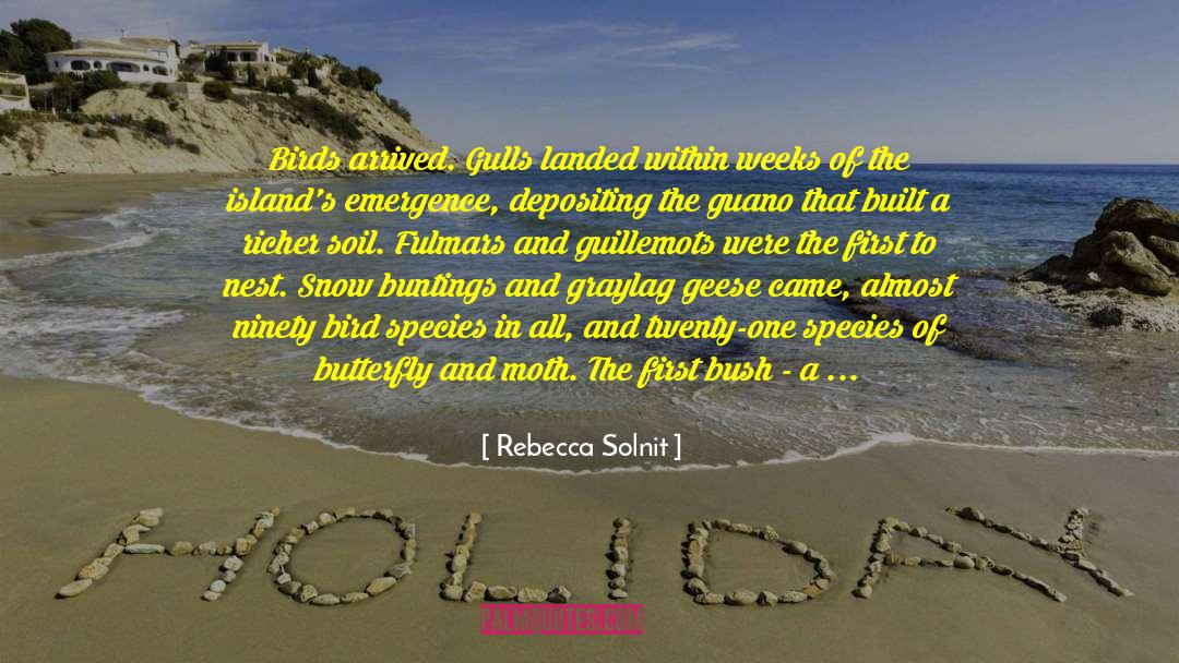 Rebecca Solnit Quotes: Birds arrived. Gulls landed within