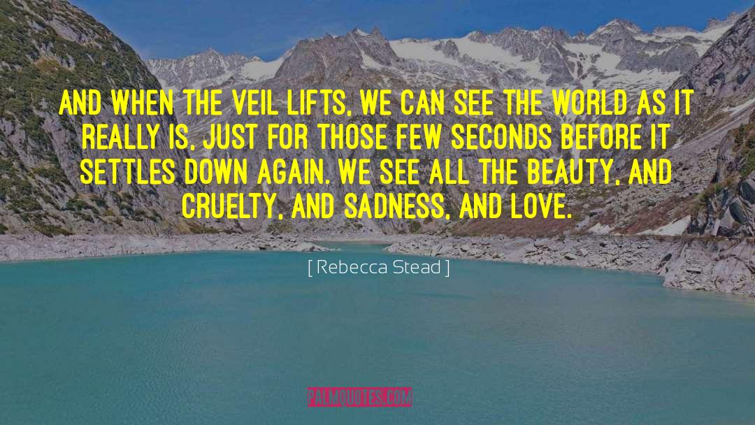 Rebecca Stead Quotes: And when the veil lifts,